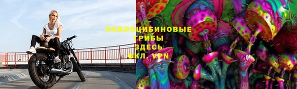 прущий лед Алексеевка