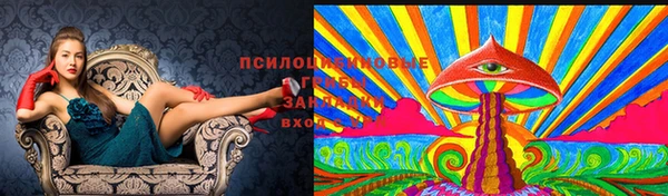 гашик Алексин