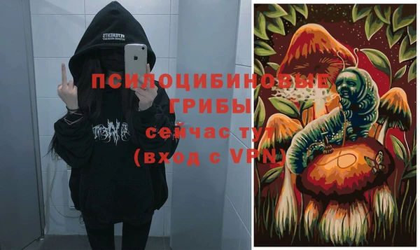прущий лед Алексеевка