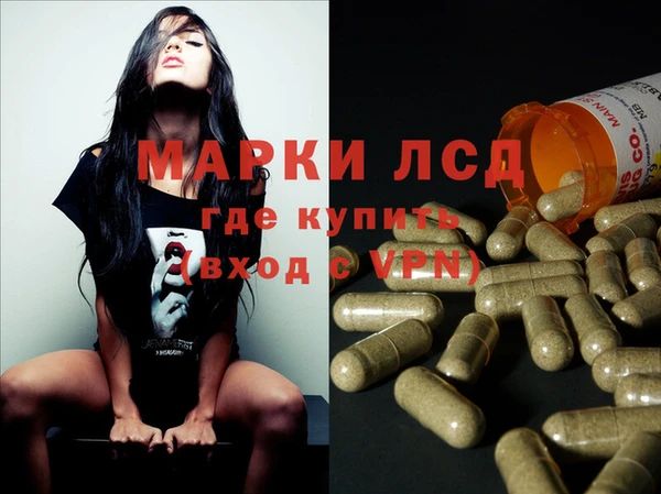 гашик Алексин