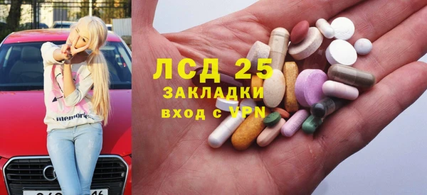 гашик Алексин
