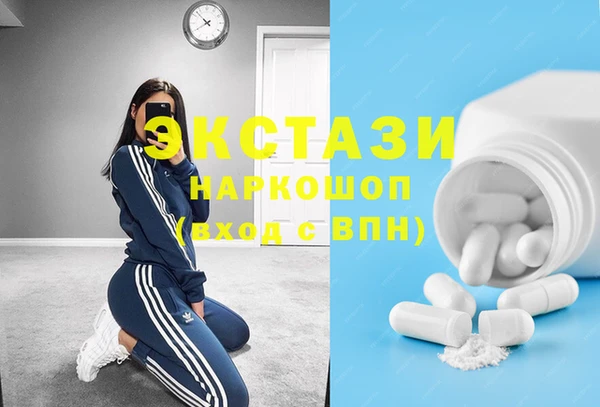 гашик Алексин