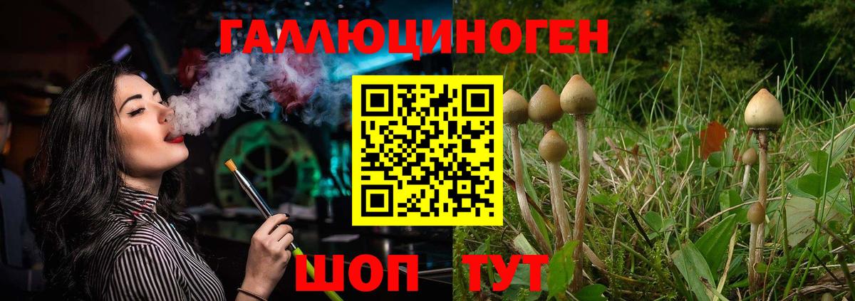 Галлюциногенные грибы ЛСД Сосновоборск
